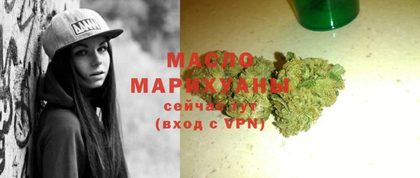 шишки Новодвинск