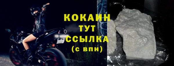 шишки Новодвинск