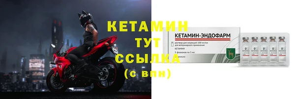 шишки Новодвинск