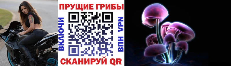 Псилоцибиновые грибы GOLDEN TEACHER Ртищево