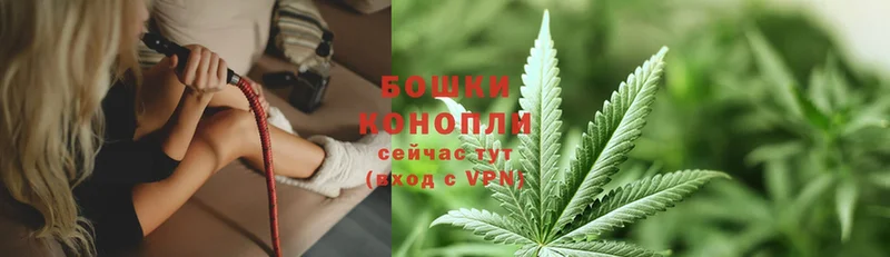 Бошки марихуана THC 21% даркнет сайт darknet официальный сайт Ртищево